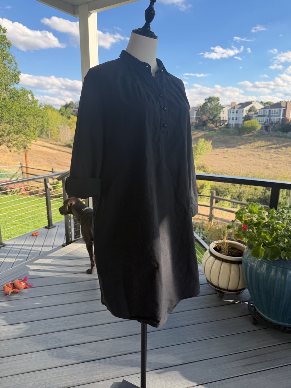 Pomander Place Black Button-Front shirt Dress - medium